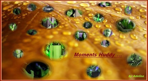  Huddy moments ....
