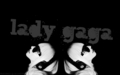 lady-gaga - Lady GaGa wallpaper