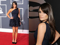 Lea's dress at the 2010 Grammys - glee photo
