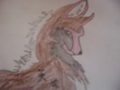 My draw wolves - drawing photo