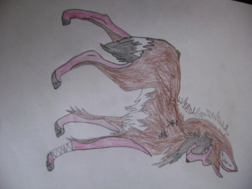 My drawn wolves