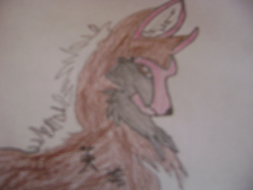  My drawn serigala