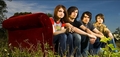 Paramore pictures - paramore photo