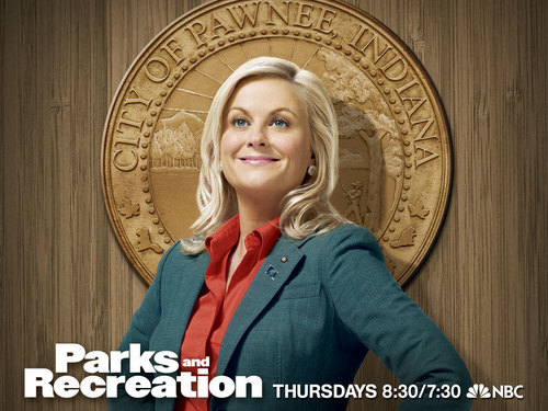  Parks and Recreation Banner