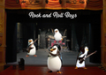 Rock and Roll, Boys! - penguins-of-madagascar fan art