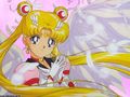 sailor-moon - Sailor Moon wallpaper