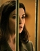 The Good Wife - the-good-wife icon