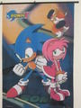 sonic and amy talis - sonic-and-amy fan art