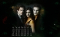 the-vampire-diaries-tv-show - tvd calender (february) wallpaper