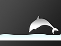 dolphins - ~♥ Dolphins ♥ ~ wallpaper