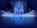 ~♥ Dolphins ♥ ~ - dolphins wallpaper