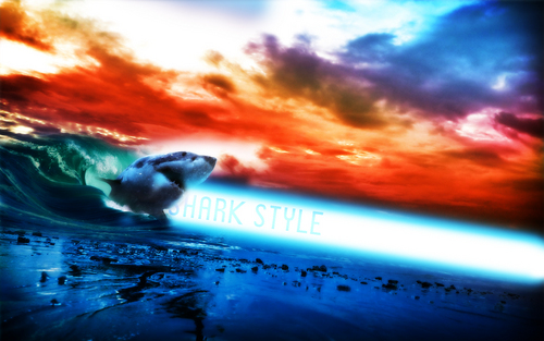 ~♥ Shark ♥ ~