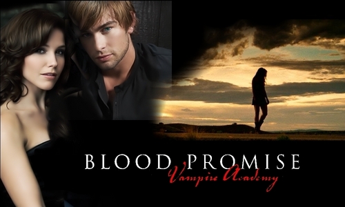 Adrian and Rose Vampire Academy by Richelle Mead