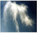 Angel Cloud - angels fan art
