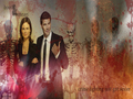 Bones and Booth - booth-and-bones wallpaper
