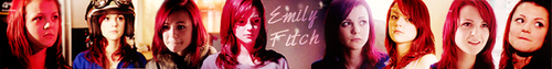  Emily Fitch Banner
