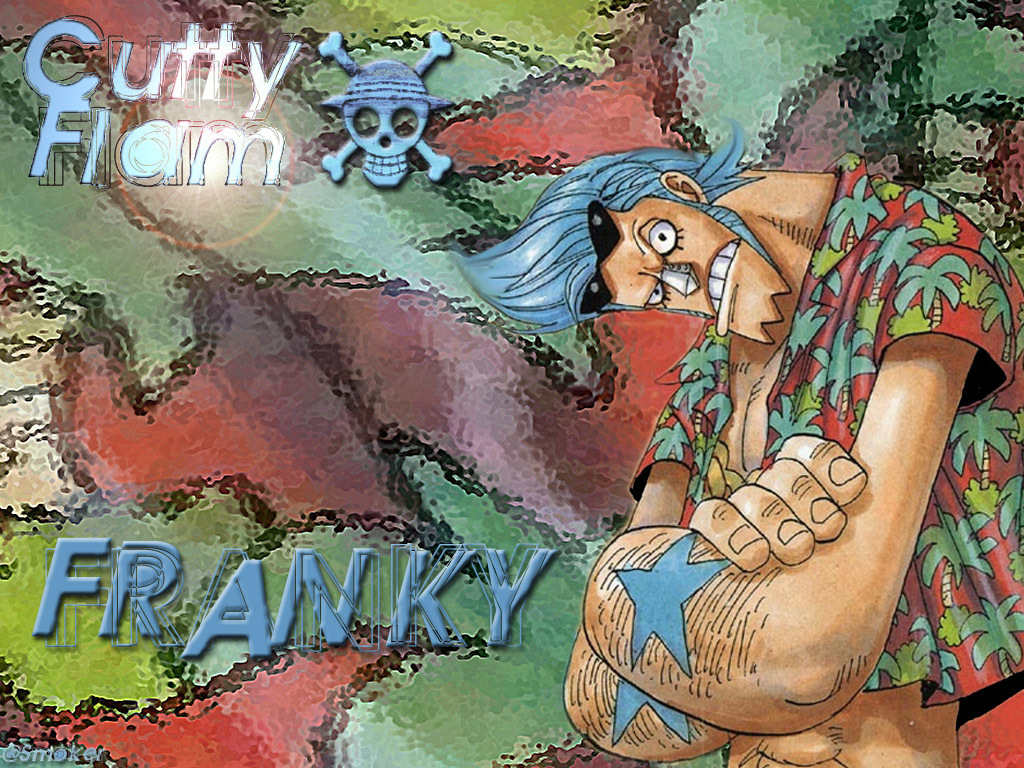 One Piece: Franky - Gallery Photo