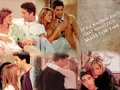 ross-and-rachel - Lobsters for life wall  wallpaper