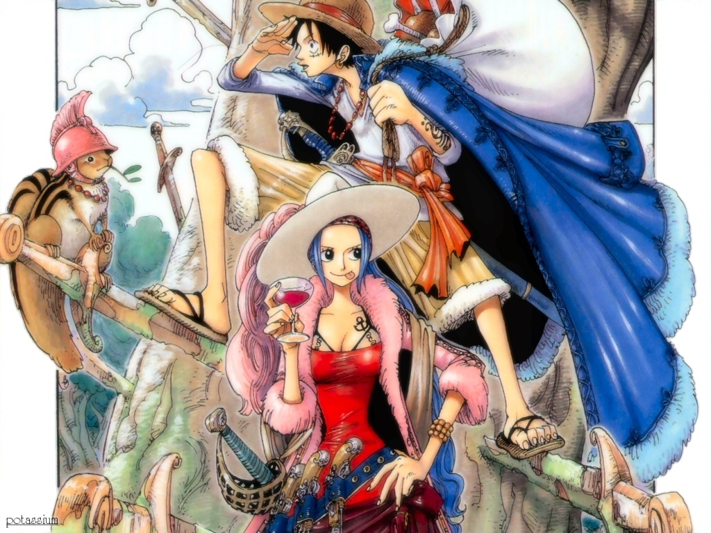 One Piece: Vivi - Picture