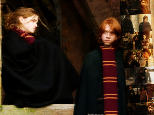  Ron and Hermione <3