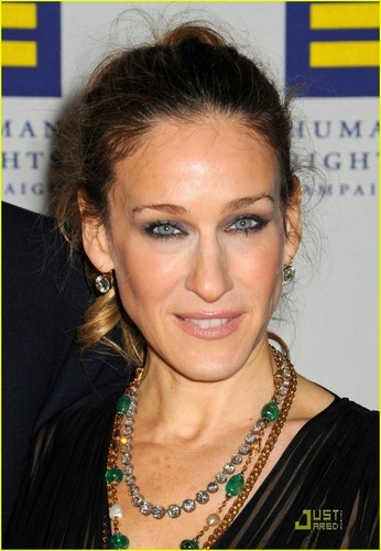  SJP @ 2010 Greater New York Human Rights Campaign Gala