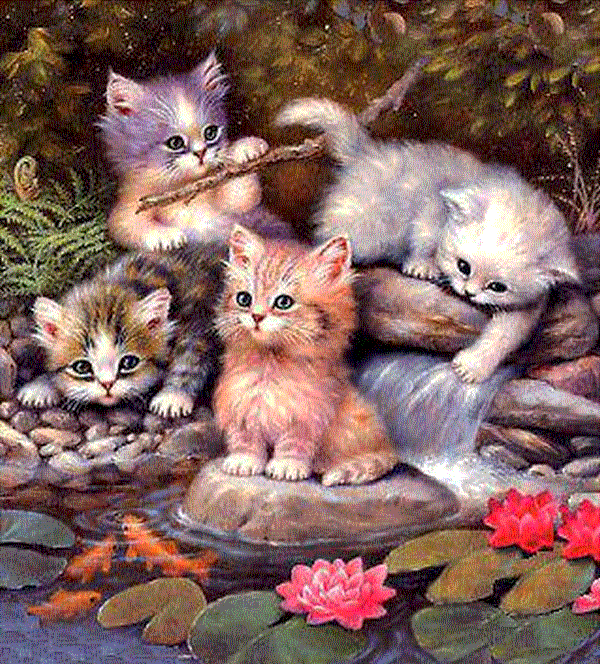 Sweet Kittens,Animated - Cute Kittens Fan Art (10332490) - Fanpop