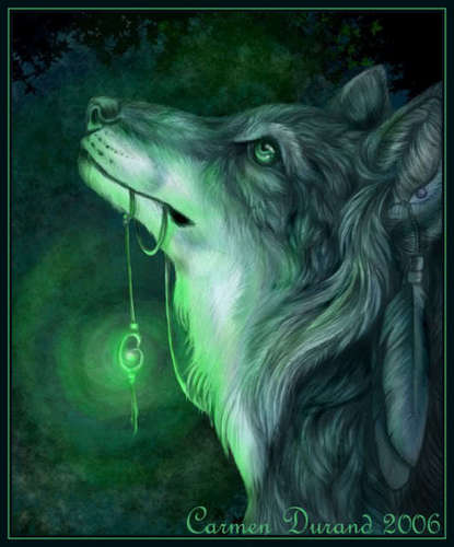 The Wolf Shaman and her Amulet