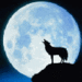 Wolf - wolves icon