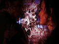 clois - lois and clark wallpaper