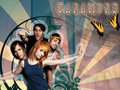 paramore by me - paramore photo