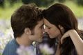 *New* B/E in the Meadow-Kisses - twilight-series photo
