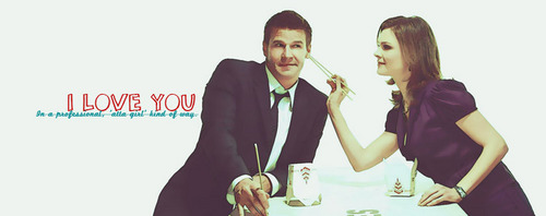  Brennan and Booth