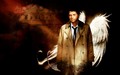 supernatural - Castiel wallpaper