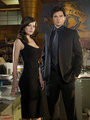 Daily Planet - smallville photo