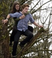 Edward and Bella - edward-cullen photo