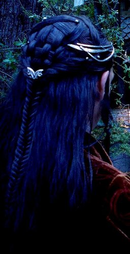 Elrond - hair