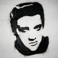Elvis on a Wall - elvis-presley fan art