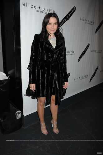  February 13th: Alice Olivia 显示 at MBFW in NYC