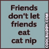  Friends Don't Let Friends Eat Cat Nip