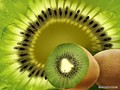 god-the-creator - God's fruit is artistic wallpaper