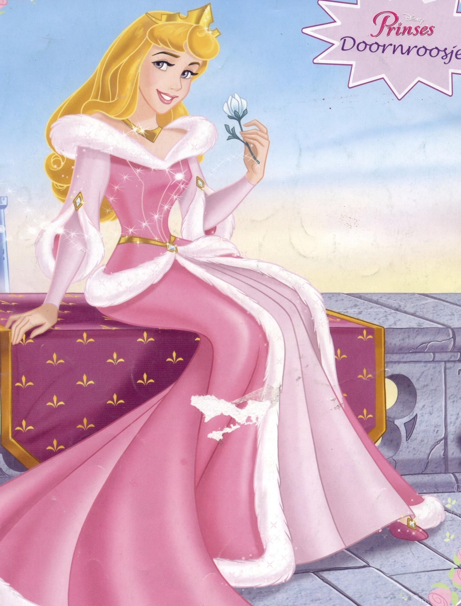 Princess Aurora Photo: Princess Aurora.