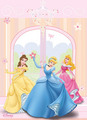 Princess Disney - disney-princess photo