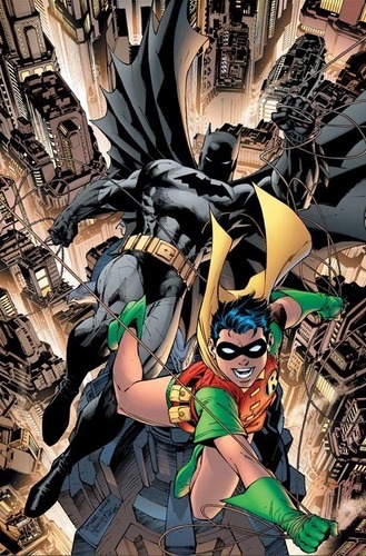  Robin/bat