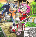 Sonic and Amy - sonamy photo