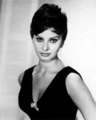 Sophia Loren - classic-movies photo