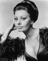 Sophia Loren - classic-movies photo