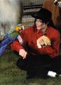 Yet Another Opus Pic - michael-jackson photo