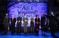 'Alice in Wonderland' Great Big Ultimate Fan Event - helena-bonham-carter photo