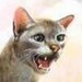 4 the last time Bluestar doesn't want ur cheezburger! - earthclan icon