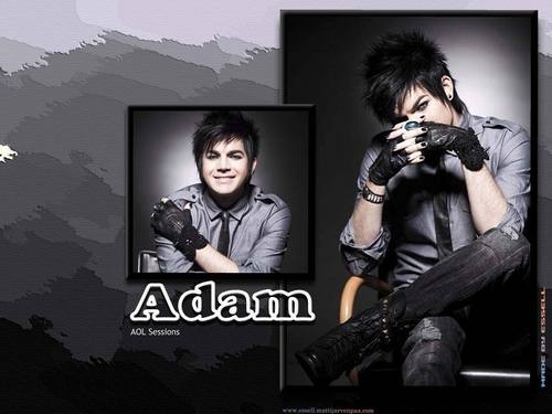  Adam wallpaper